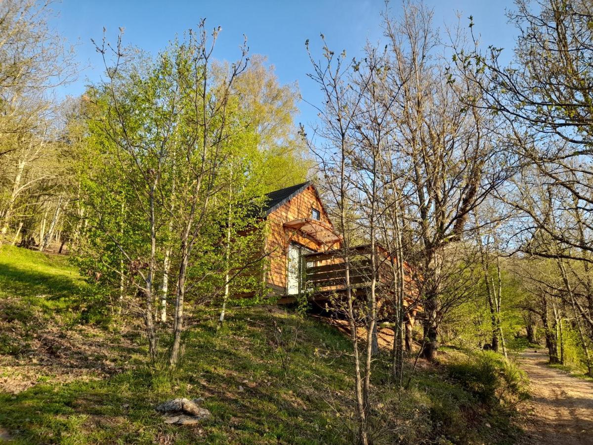 Mon Chalet Au Coeur Des Cevennes Vebron Екстер'єр фото